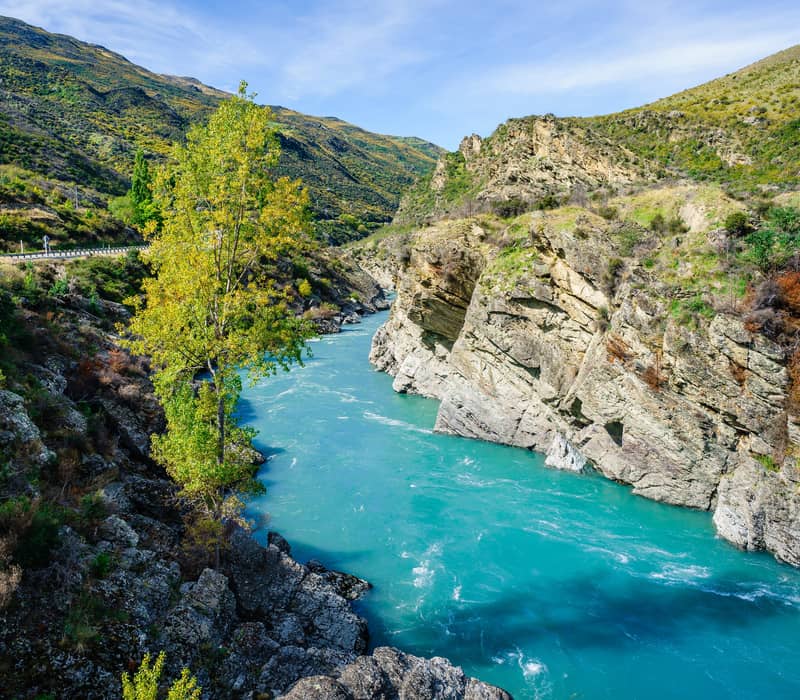 A vibrant turquoise river flows through a steep, rocky gorge with a slender green tree in the foreground under a blue sky. Credit: Wirestock Creators -Shutterstock