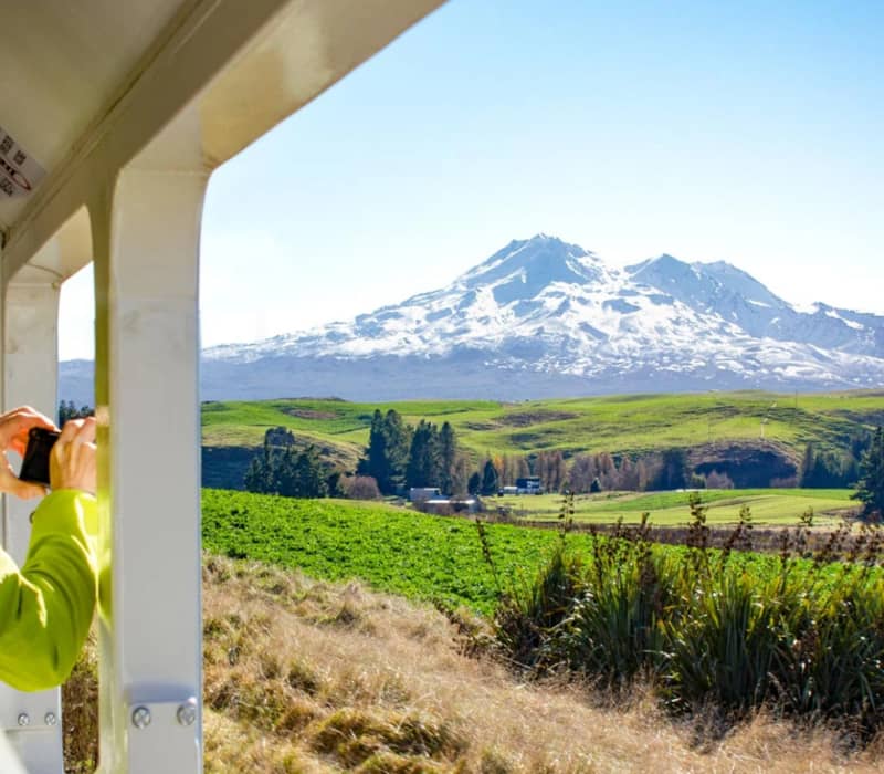 Tourists on a train taking photos of snow-covered Mount Ruapehu against blue sky and green fields. Credit: Great Journeys