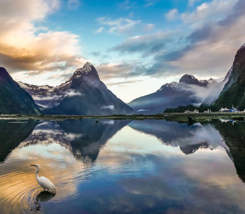 Lake with clear reflection of mountains and a white bird wading in the water at Milford Sound.