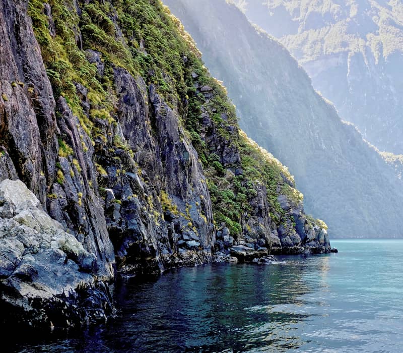 A close-up view of a towering, sheer dark grey rock cliff covered in patches of lush green vegetation plunging directly into the deep, clear waters of a glacial fiord. Credit: David Tip - Unsplash