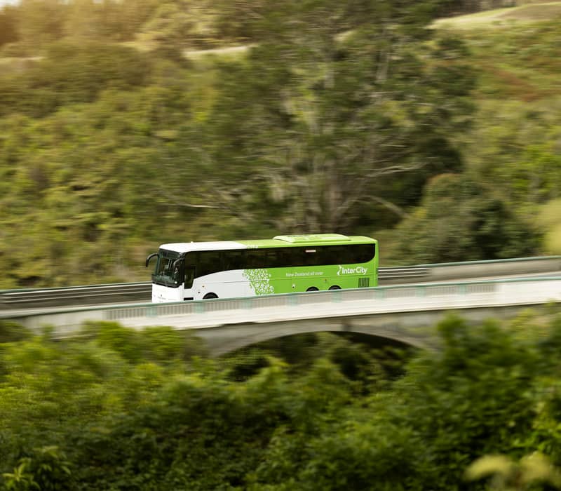 Green and white InterCity bus driving over a bridge surrounded by dense greenery. Credit: Entrada - Intercity