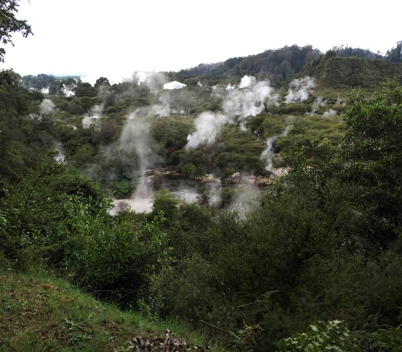 A high-angle view looking down into a lush green valley filled with native New Zealand bush and a winding stream, with numerous plumes of white geothermal steam rising dynamically from the ground. Credit: Unsplash