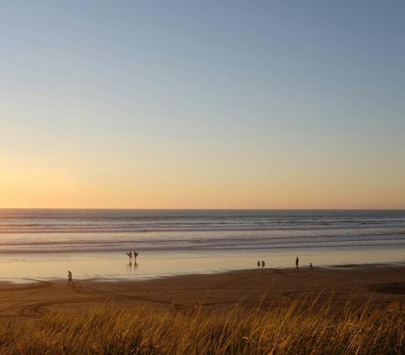 A wide landscape view of a vast sandy beach at sunset, framed by golden beach grass in the foreground, with several people and surfers silhouetted against the rolling waves and a gradient sky. Credit: Grace Caadiang - Unsplash