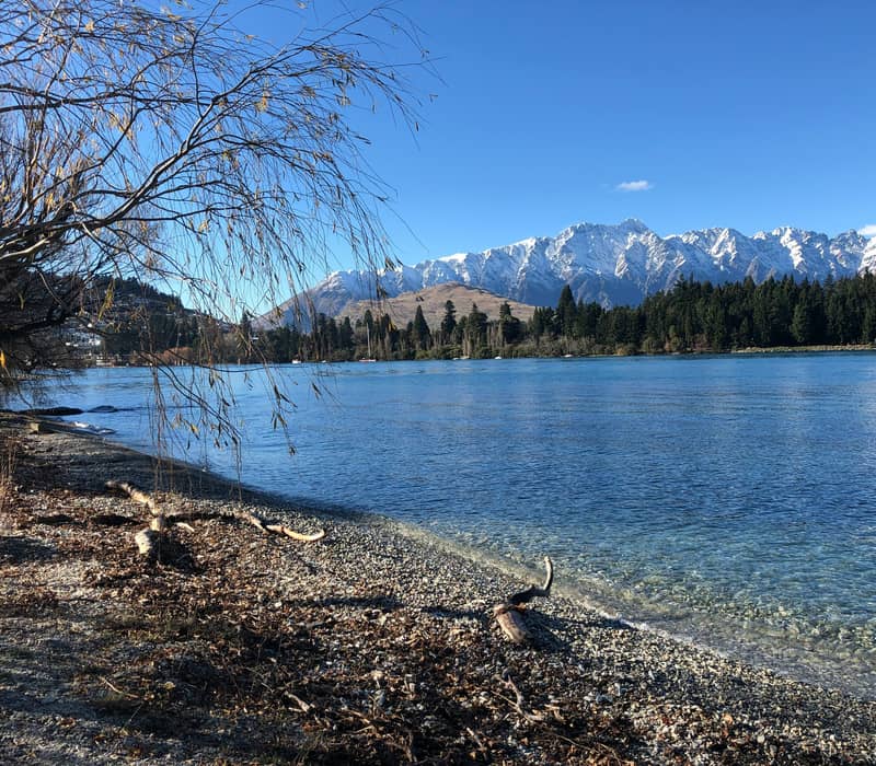 A pebble shoreline on a clear blue lake with overhanging tree branches, looking across to a pine forest and a massive, snow-capped mountain range under a blue sky. Credit: Nashi Dasgupta - Unsplash