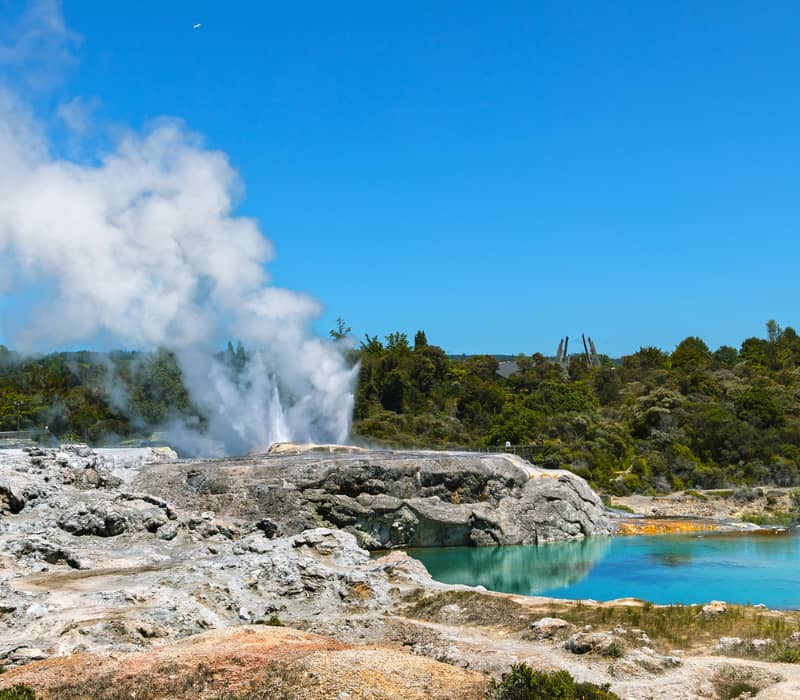 Steam erupts from Whakarewarewa geyser near bright blue hot spring under a clear blue sky. Credit: New Zealand Fine Touring