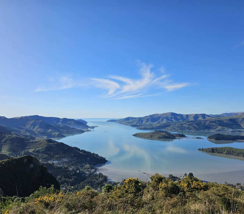 A stunning high-angle panoramic view looking down over the calm, pale blue waters of Lyttelton Harbour from the Port Hills, with rolling green volcanic hills framing the inlet and a small island visible on the right under a bright blue sky. Credit: Christ
