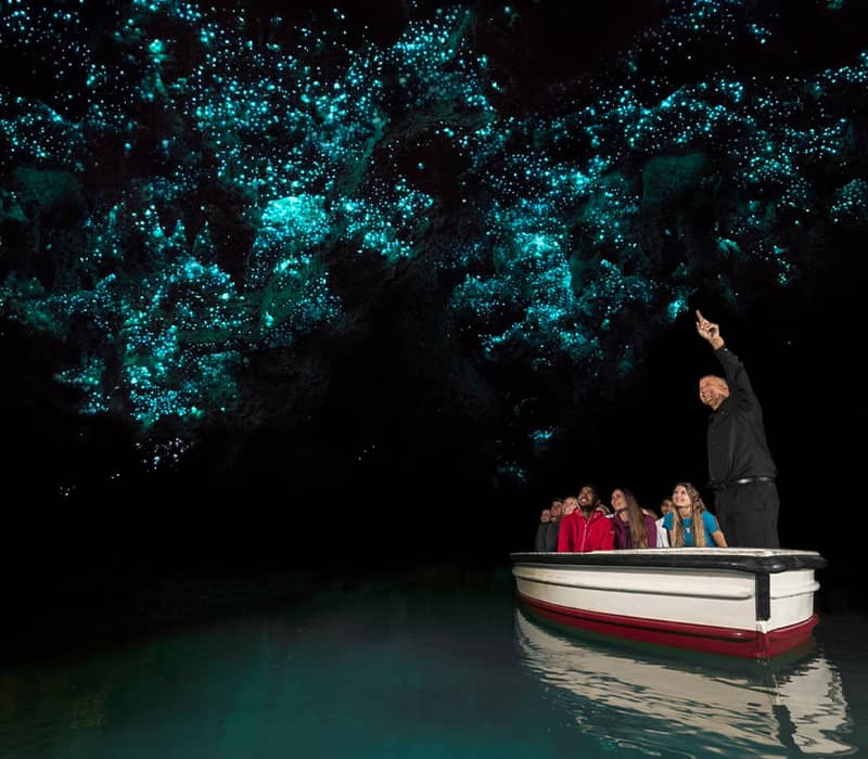 Tourists in boat under glowing bioluminescent ceiling in a cave.