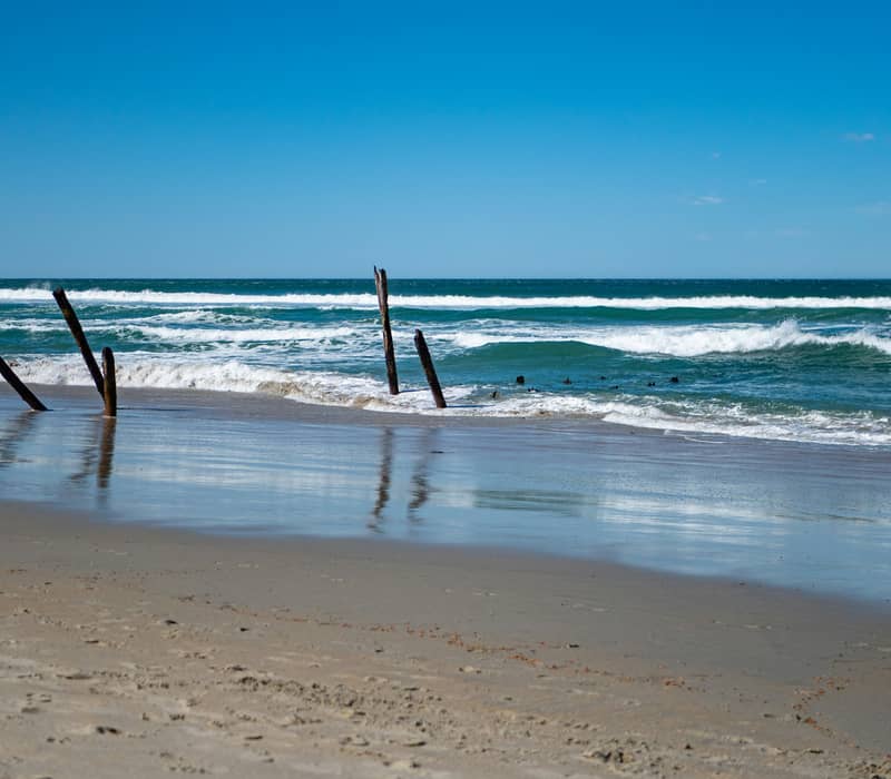 Weathered wooden posts jutting out of the sandy shore and ocean surf at St Clair Beach under a clear blue sky. Credit: Tonia Kraakman - Unsplash
