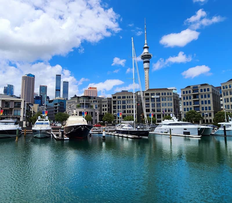 Luxury yachts and powerboats moored in a calm marina basin, with the Auckland city skyline and Sky Tower rising behind under a blue sky. Credit: Mark Heider - Shutterstock