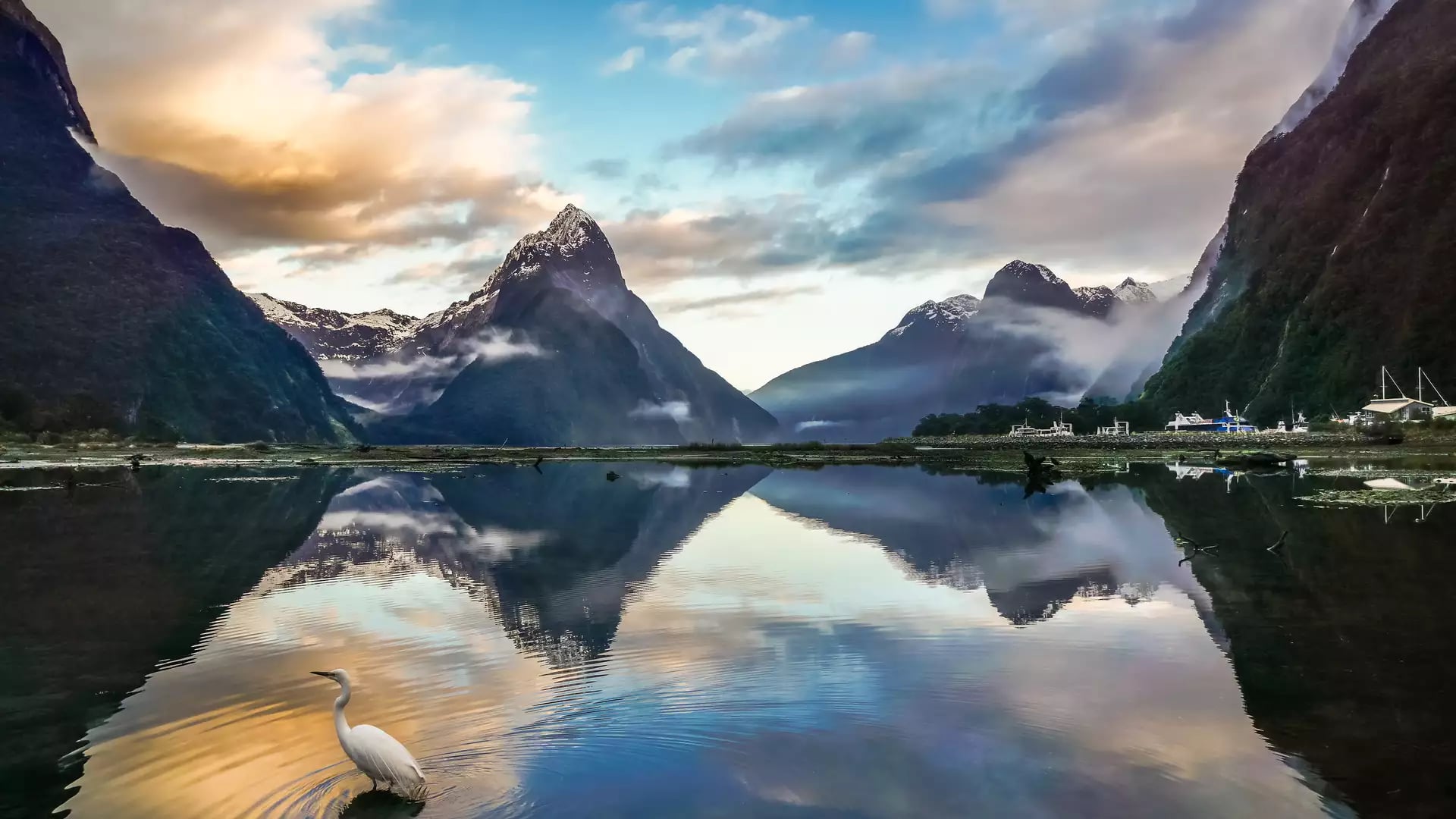 Lake with clear reflection of mountains and a white bird wading in the water at Milford Sound.