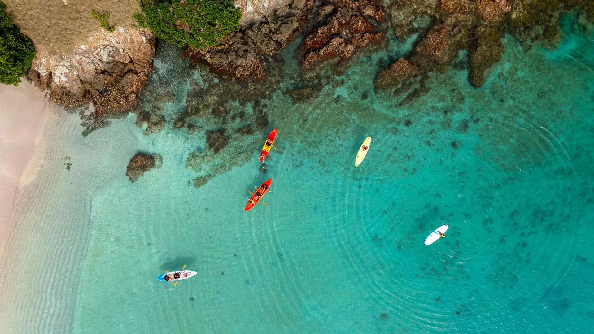 Kayakers and paddleboarders in clear turquoise water near a rocky Bay of Islands shoreline.