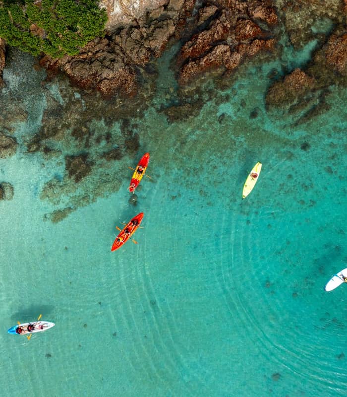 Kayakers and paddleboarders in clear turquoise water near a rocky Bay of Islands shoreline.