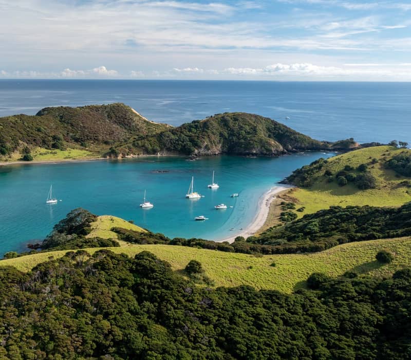 Sailboats anchored in a sheltered Bay of Islands bay surrounded by green hills.