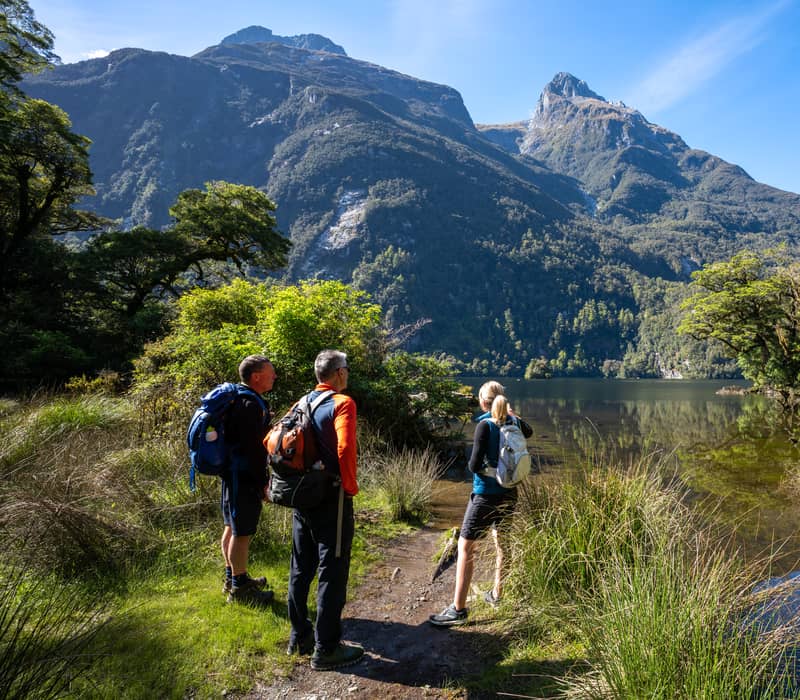 Three hikers with backpacks look at a mountain lake surrounded by forest on a sunny day. Credit: Fiordland Trips & Tramps