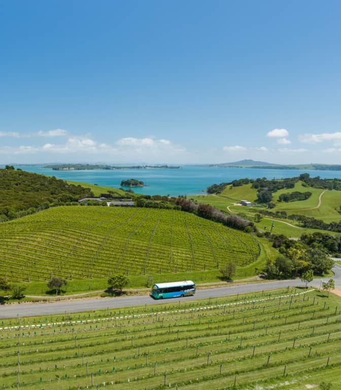 Tour bus driving along road through vineyard with ocean and hills in the background on Waiheke Island. Credit: Fullers 360