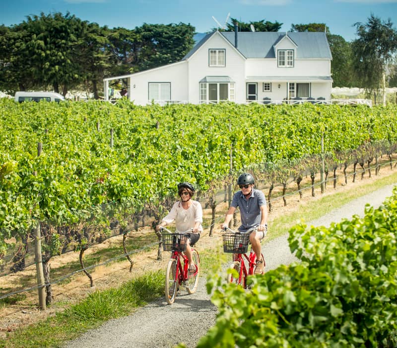 Couple riding bicycles on a path through a green vineyard with a white house in the background. Credit: JET PRODUCTIONS / Wellington NZ