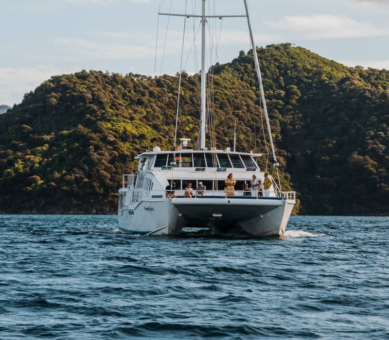 Catamaran boat with people on board sailing on water near green hills.