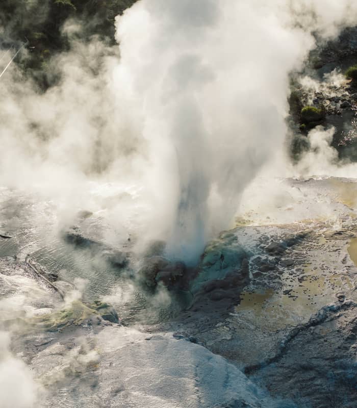 Bubbling geyser at Te Puia Credit: Te Puia