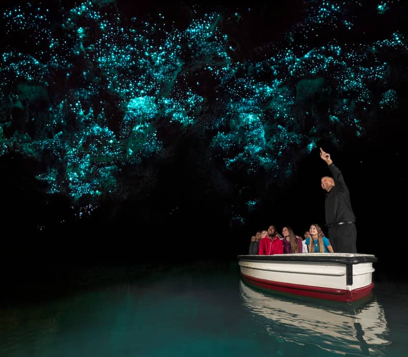 People on a boat tour inside a dark cave glowing with blue glowworms on the ceiling. Credit: G Adventures