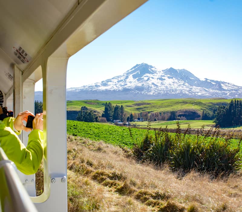 Person on train taking photo of snow-capped mountain and green fields under a clear blue sky. Credit: Kiwi Rail