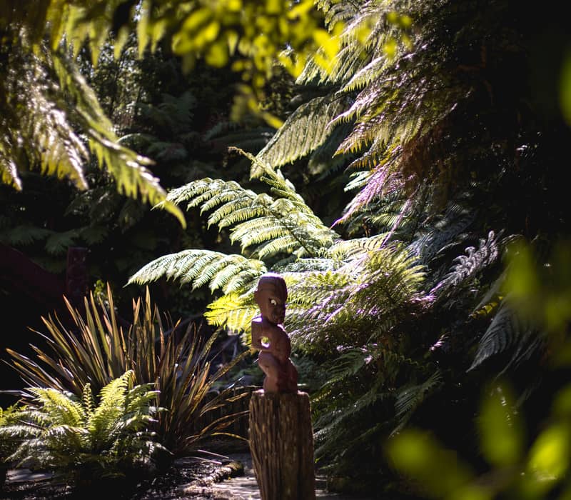 Wooden Maori statue in lush forest with large green ferns and sunlight filtering through leaves.