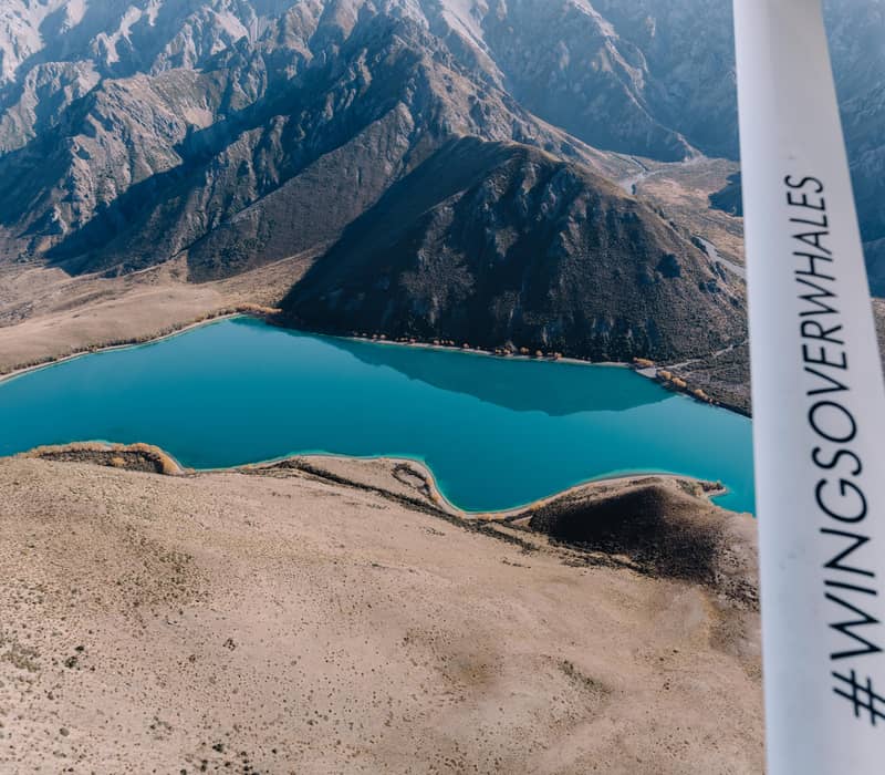 Aerial view of a turquoise lake surrounded by brown mountains and arid landscape from a plane. Credit: Wings over Whales NZ
